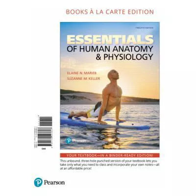 Essentials of Human Anatomy &amp; Physiology