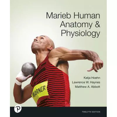Marieb Marieb Human Anatomy &amp; Physiology